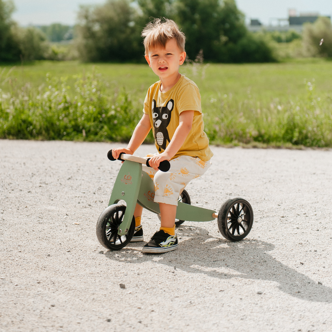 2-in-1 Tiny Tot Tricycle & Balance Bike - Convertible Toddler Ride-On for Early Riders