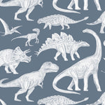 Dino Blue Wallpaper