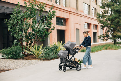 Vista V3 Stroller
