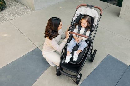 Vista V3 Stroller