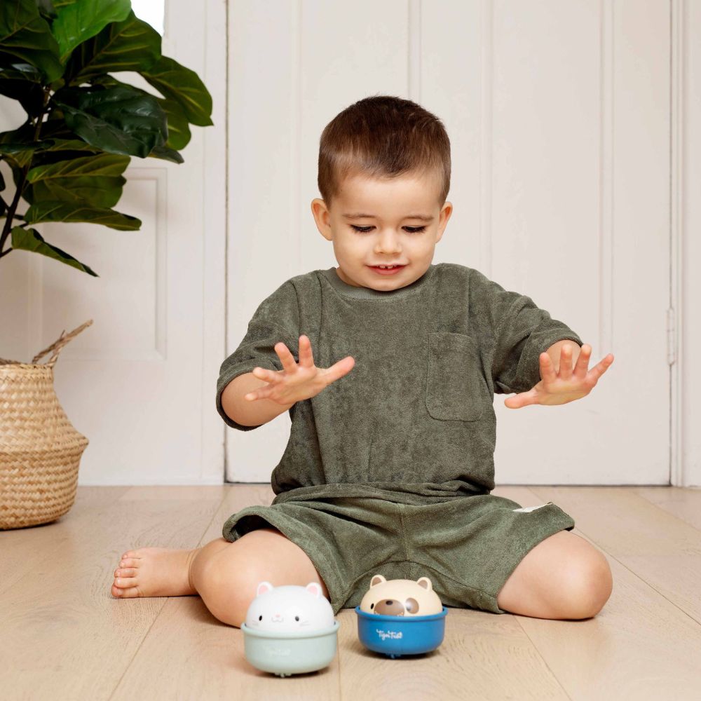 Rocking Rollers - Pet Activity Roller for Interactive Play and Enrichment Toys