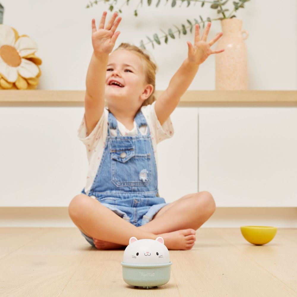 Rocking Rollers - Pet Activity Roller for Interactive Play and Enrichment Toys