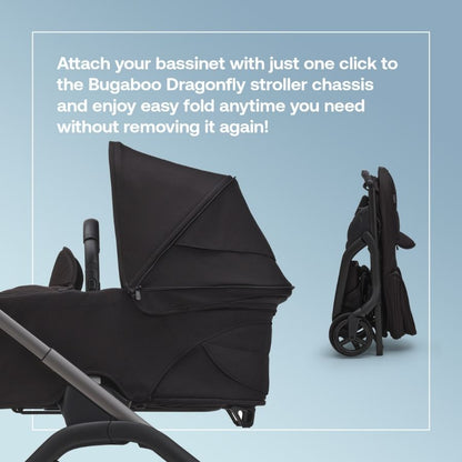 Dragonfly Bassinet