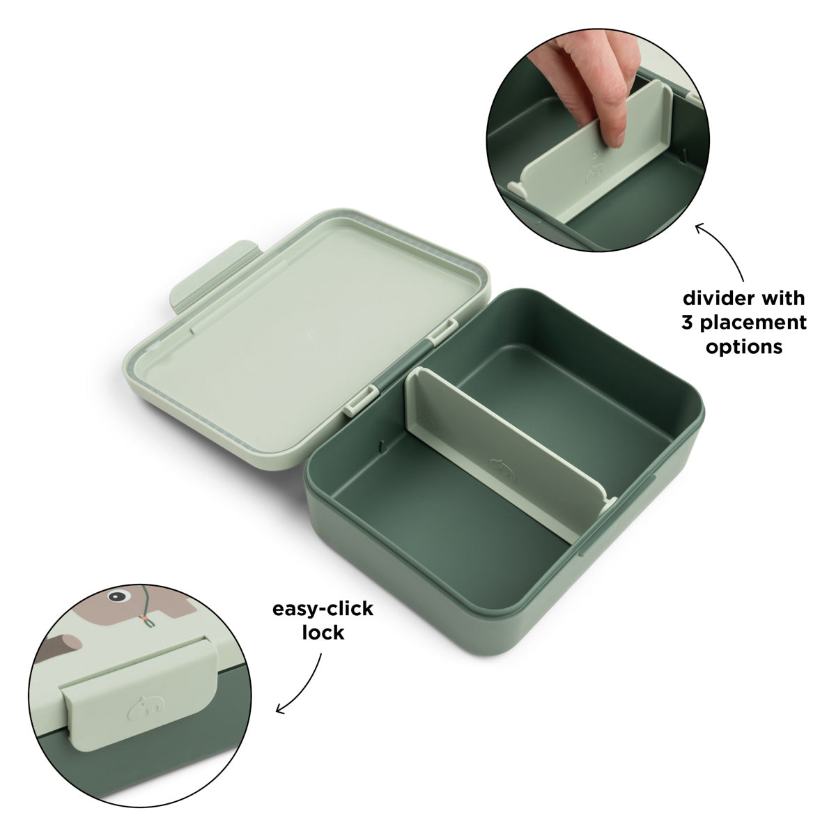 Lunch Box with Divider