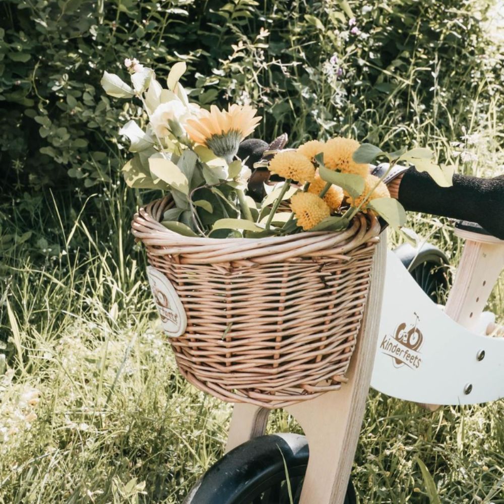 2-in-1 Tiny Tot Tricycle & Balance Bike - Convertible Toddler Ride-On for Early Riders