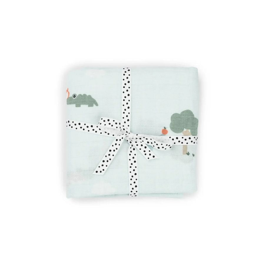 Baby Swaddle - Playground