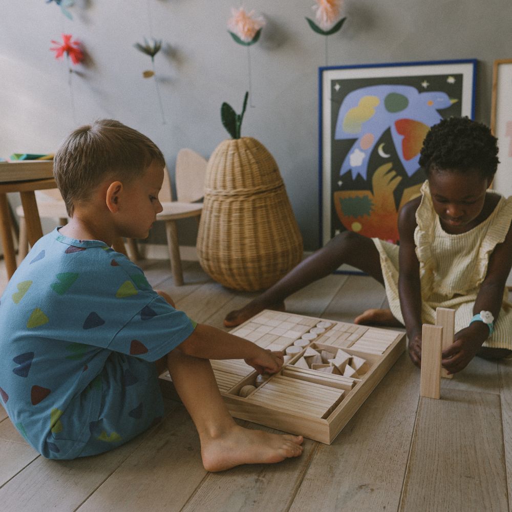 Mixed Blocks Building Set for Creative Play, Sorting, Stacking and Learning