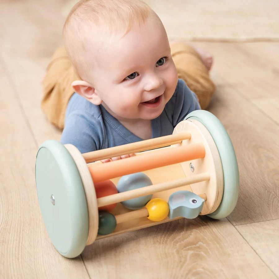 Rolling Activity Mirror - Birdee Colour Mix