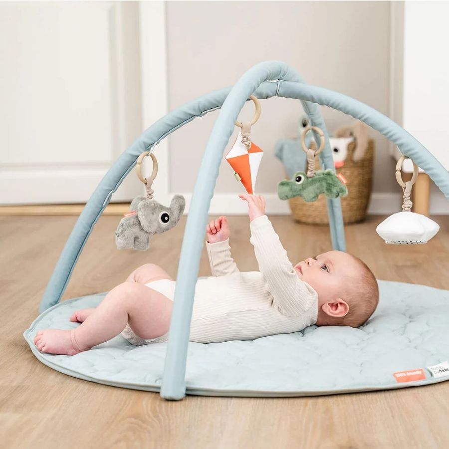 Activity Play Mat