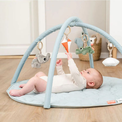 Activity Play Mat