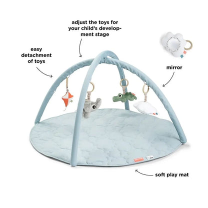 Activity Play Mat