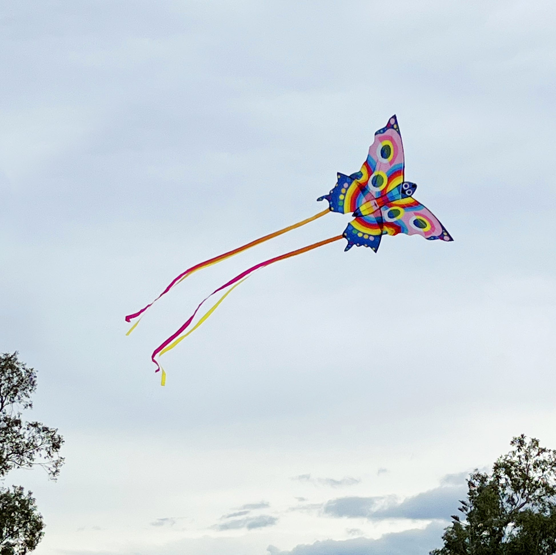 Tiger Tribe Butterfly Kite - Sweet Pea UAE