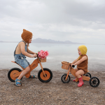 Bamboo Balance Bike Adventure Bundle (Sage Helmet + Crate Basket)