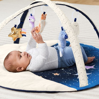Garden Oasis Celestial Dreams Silver Lining Cloud Activity Gym for Babies