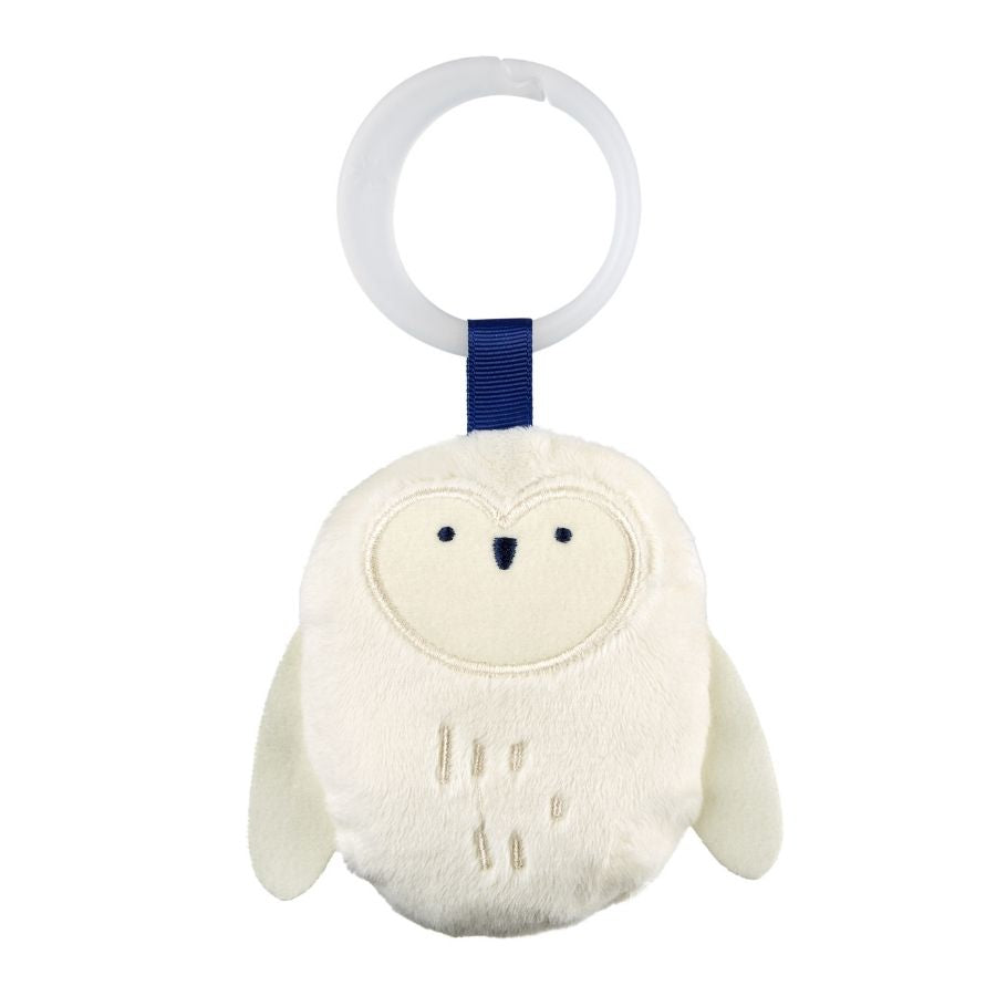 Garden Oasis Celestial Dreams Silver Lining Cloud Activity Gym for Babies