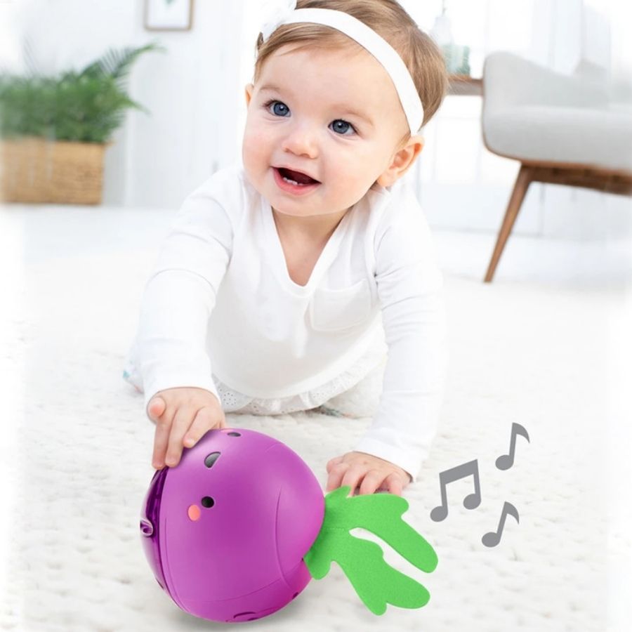 Skip Hop Farmstand Beetbox Crawl Toy Multi Color