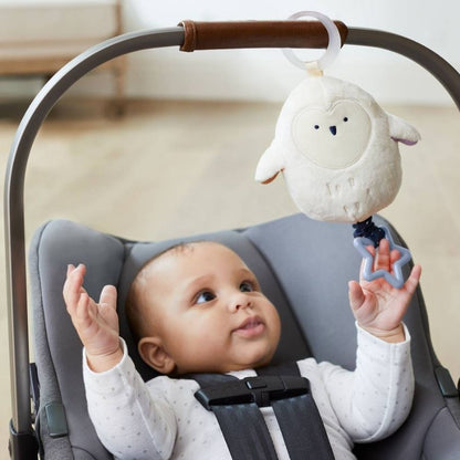 Skip Hop Celestial Dreams Jitter Owl Multi Color