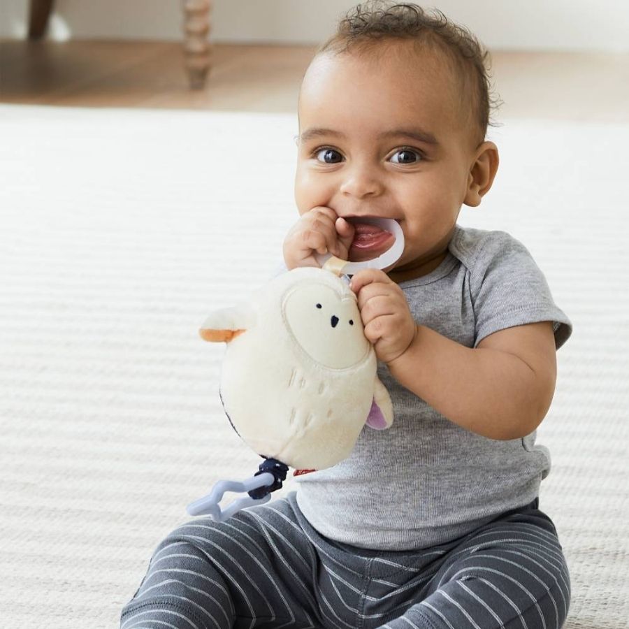 Skip Hop Celestial Dreams Jitter Owl Multi Color