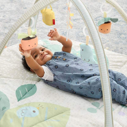 Garden Oasis Celestial Dreams Silver Lining Cloud Activity Gym for Babies