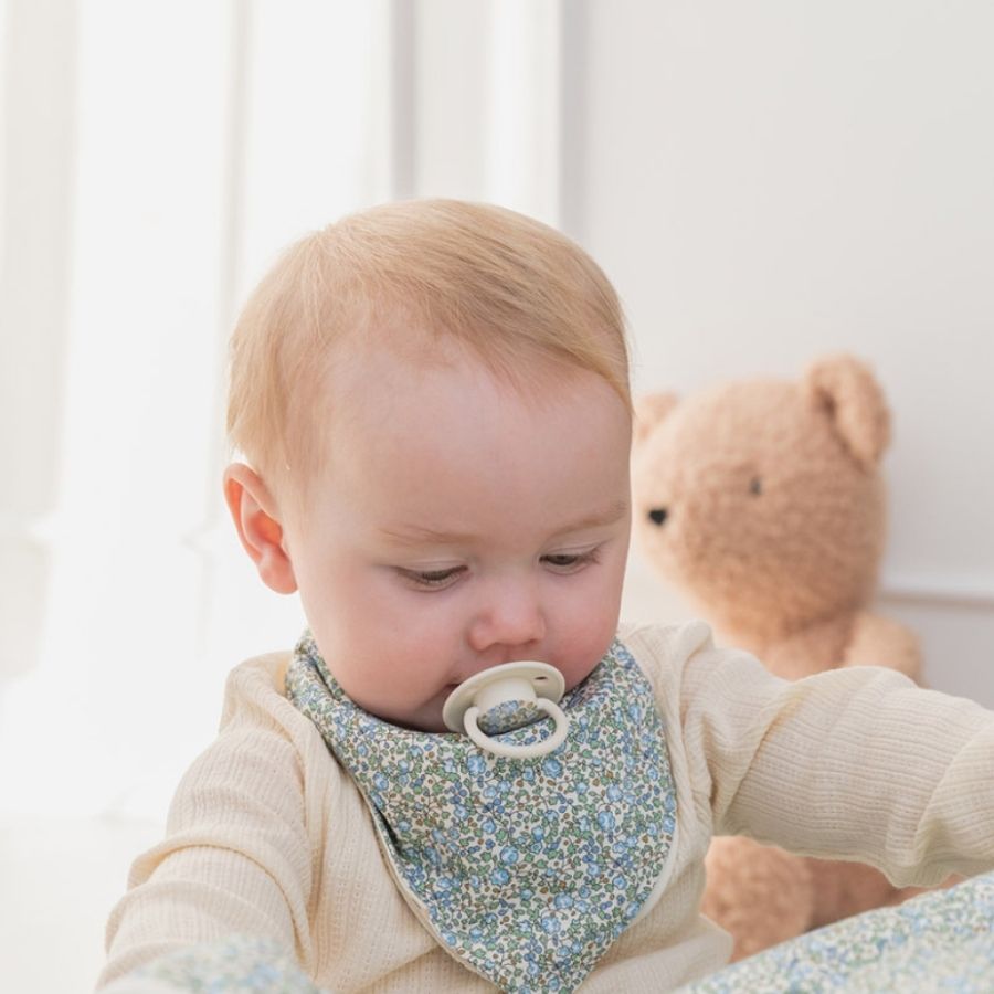 Pacifier X Liberty 2  Pack De Lux Eloise Silicone One size Baby Blue Mix