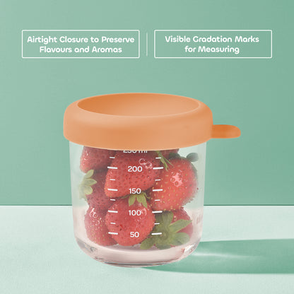 Set of 2 x 250ml Glass Conservative Jars