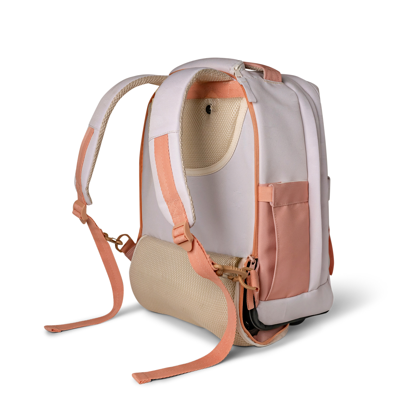 Trolley School Bag