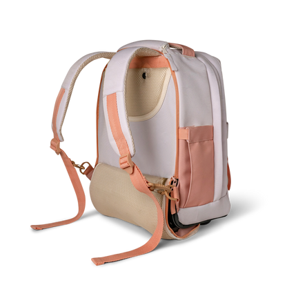 Trolley School Bag