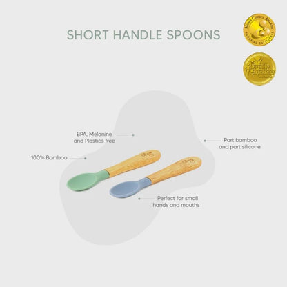 Citron Organic Bamboo Spoons Set of 2 Green Dusty Blue
