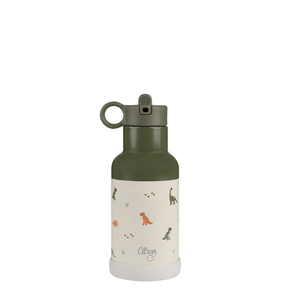 Ss Water Bottle 350 ml