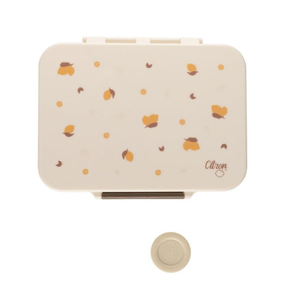 Tritan Lunchbox & Snackbox Collection, Durable Leakproof Kids Food Containers