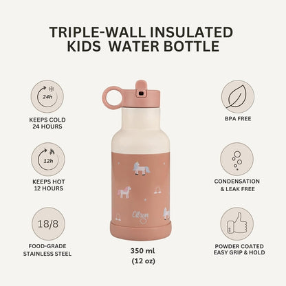 Ss Water Bottle 350 ml
