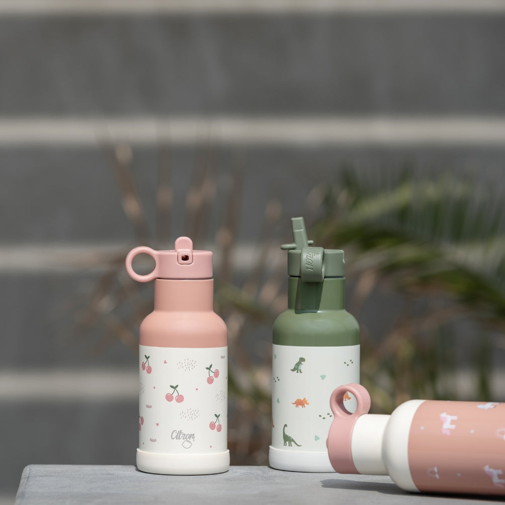 Ss Water Bottle 350 ml