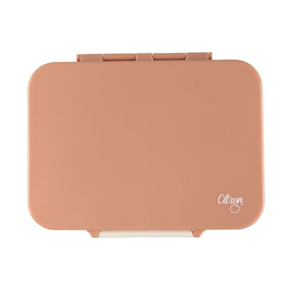 Tritan Lunchbox with Secure Seal and Multiple Compartments Reusable Lunch Box