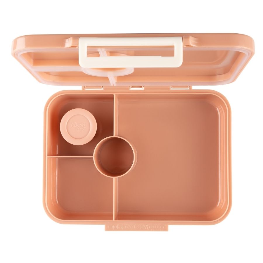 Tritan Lunchbox with Secure Seal and Multiple Compartments Reusable Lunch Box