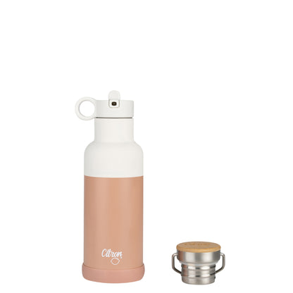 Ss Water Bottle 500 ml