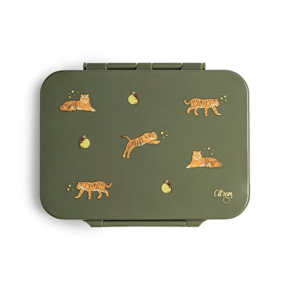 Tritan Lunchbox with Secure Seal and Multiple Compartments Reusable Lunch Box