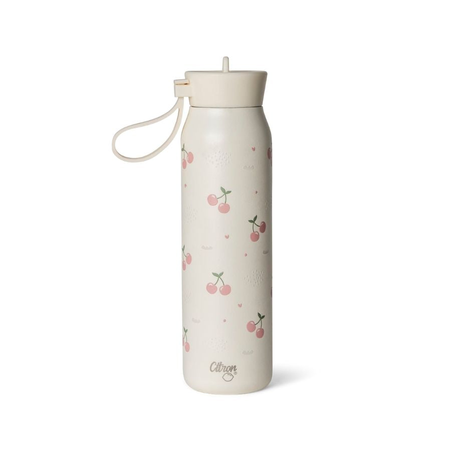 Stainless Steel Insulated Water Bottle and Food Jar — Leakproof Portable Vacuum