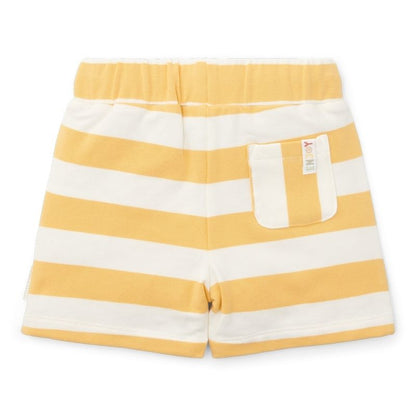 شورت - خطوط صفراء مشمسة