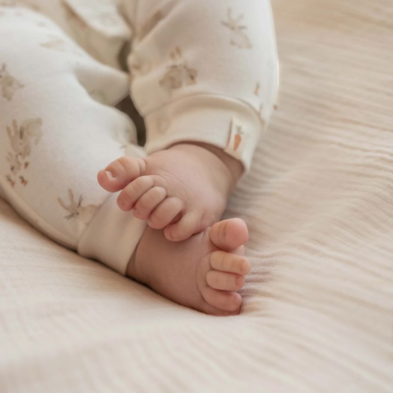 بنطلون أرنب صغير - قطن عضوي