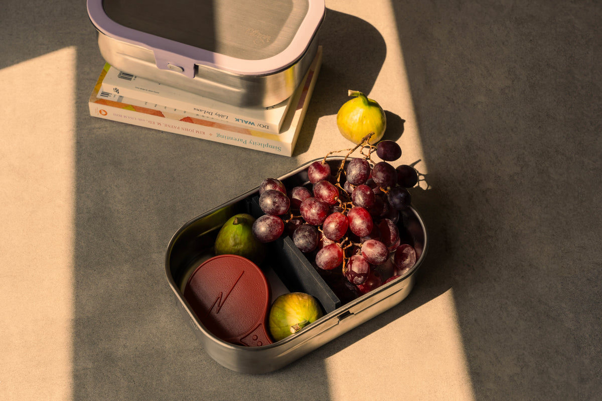 Stainless Steel Lunchbox