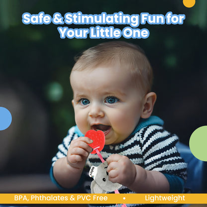 Playtime Ring Rattle for Kids