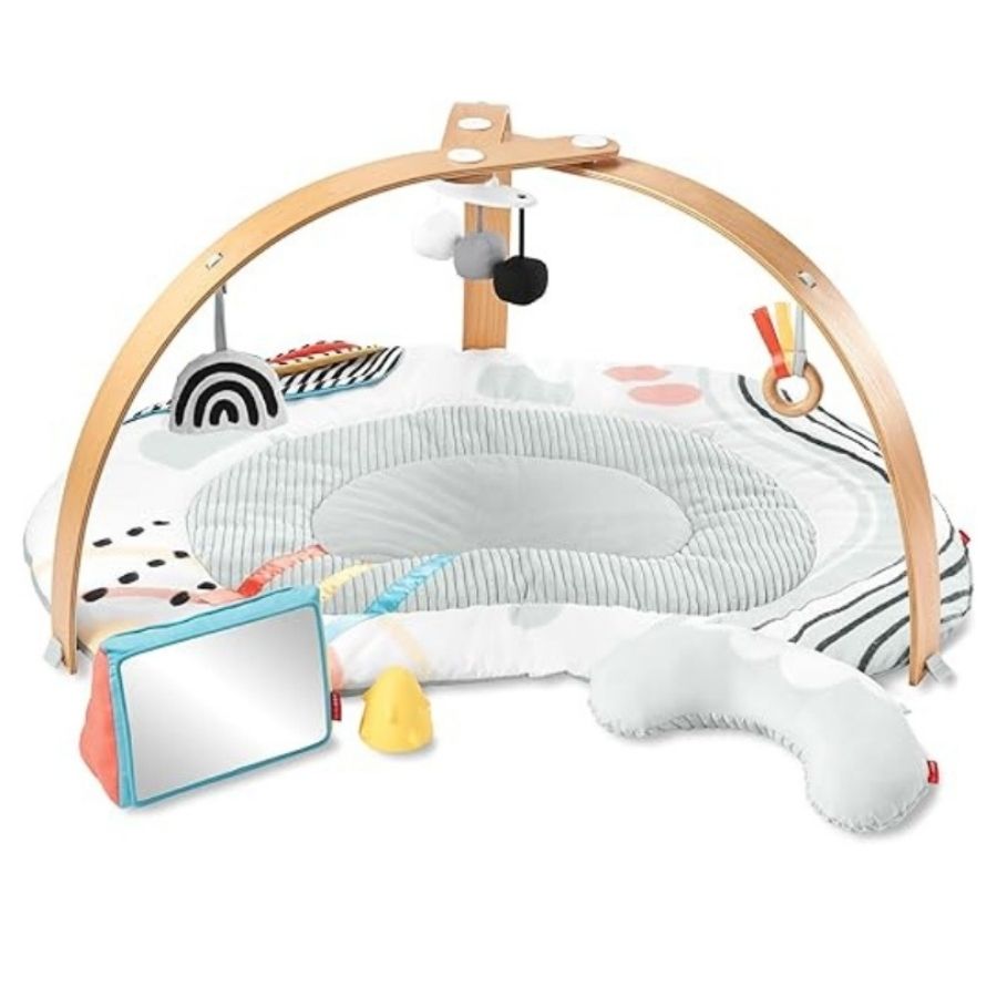 Discoverosity Play Gym Multi Color