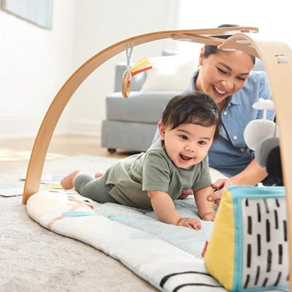 Discoverosity Play Gym Multi Color