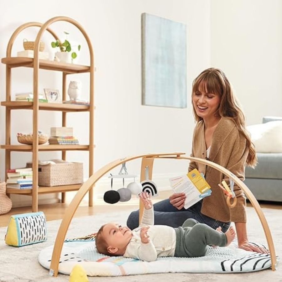 Discoverosity Play Gym Multi Color