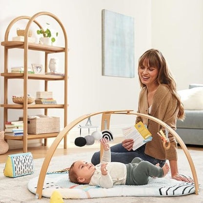 Discoverosity Play Gym Multi Color