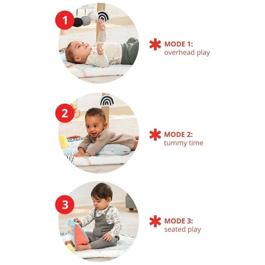 Discoverosity Play Gym Multi Color