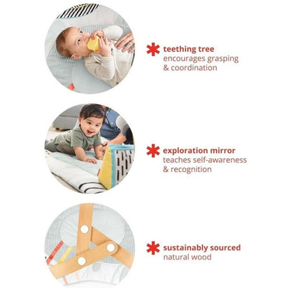 Discoverosity Play Gym Multi Color