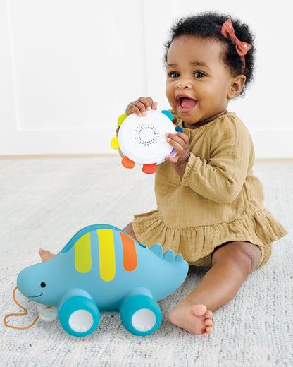 Explore & More 3 In 1 Baby Musical Pull Toy