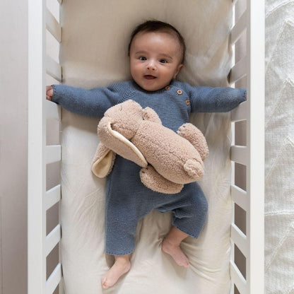 Snoogy Bunny Biscuit