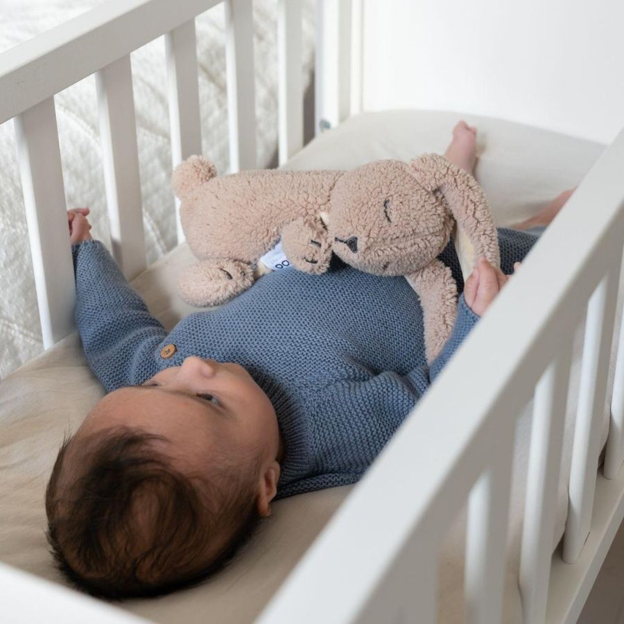 Snoogy Bunny Biscuit